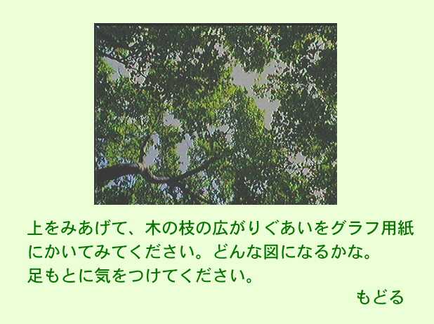 木の広がりを調べる