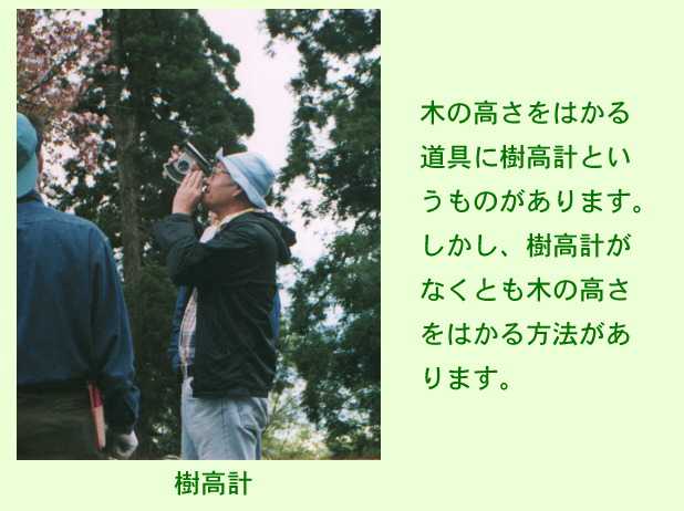 高さをはかる