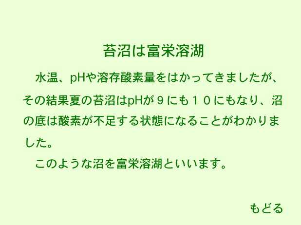 富栄養湖