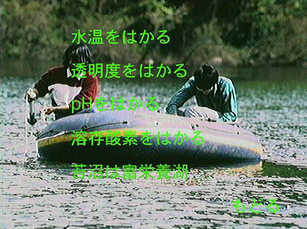 苔沼の水質メニュー