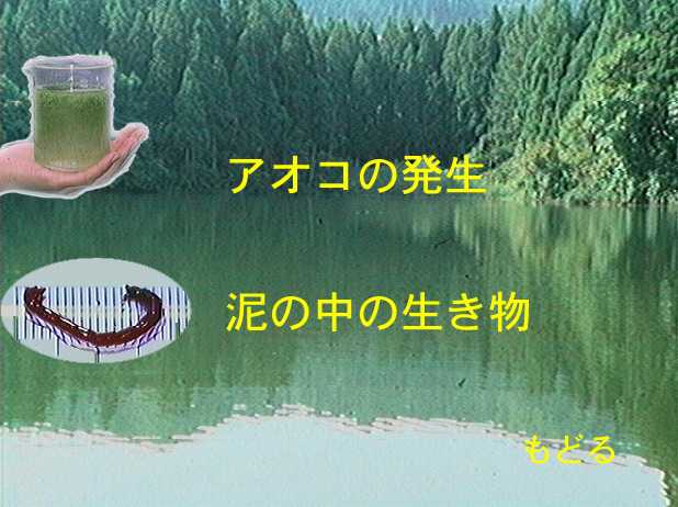 苔沼の生物メニュー