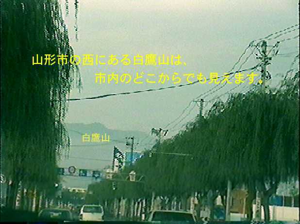 白鷹山エリアの環境データベース