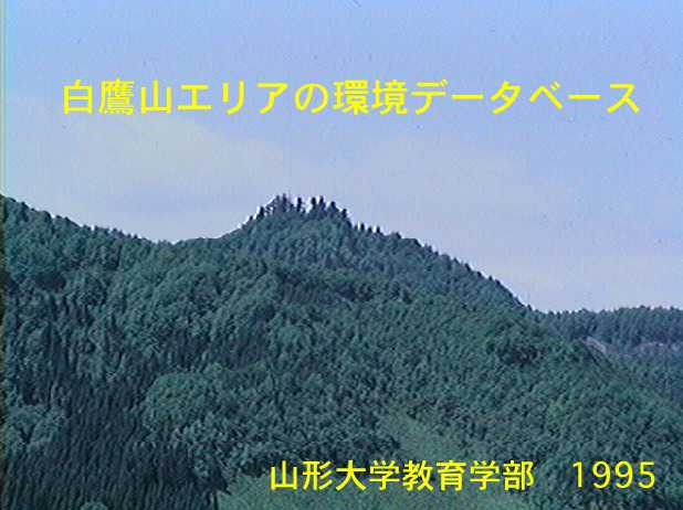 白鷹山エリアの環境データベース